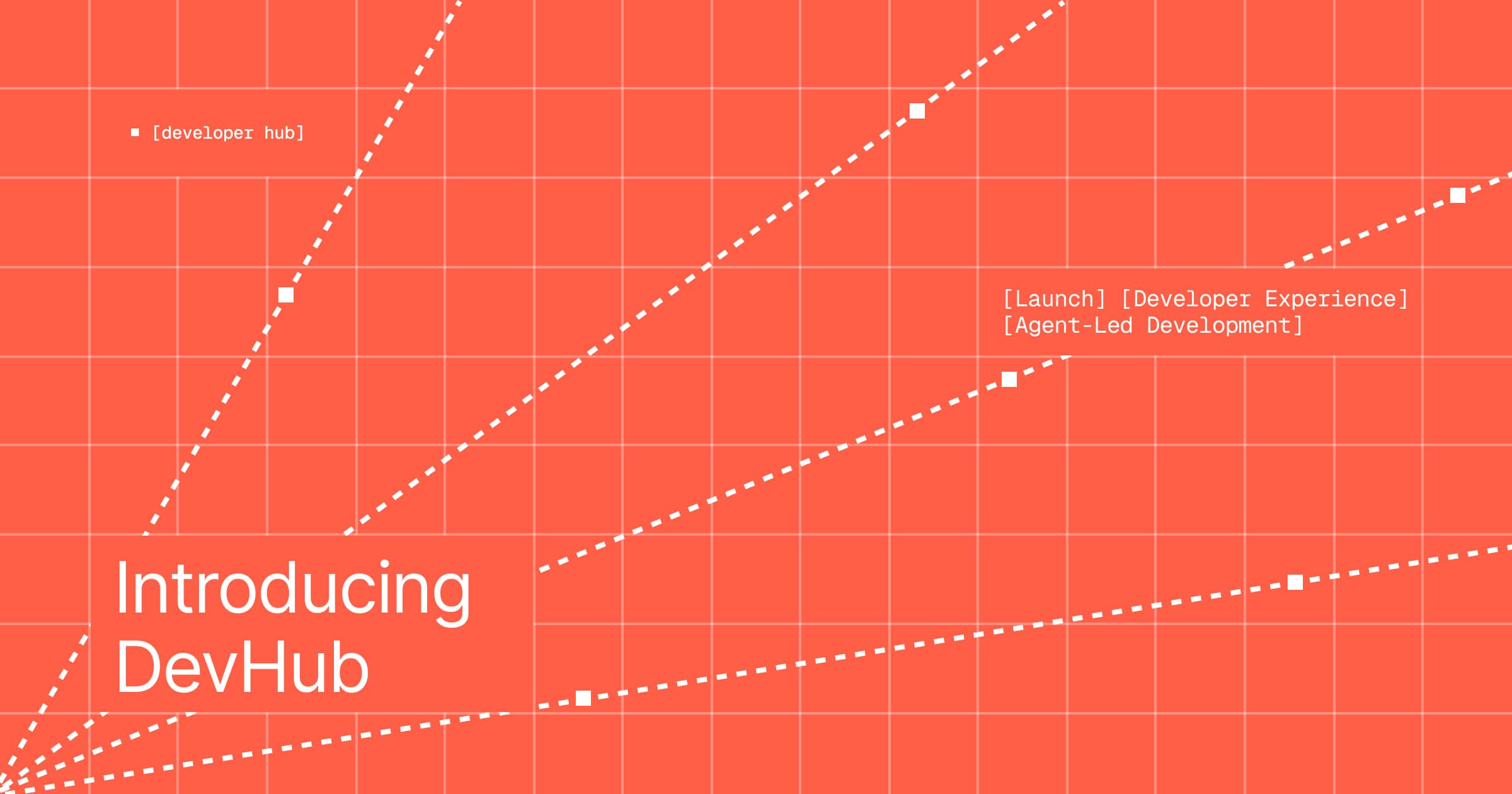 Cover graphic for Introducing DevHub with a grid, launch tags, and developer hub label